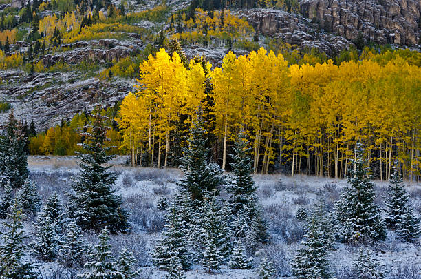 First light fall colors with snow stock photo