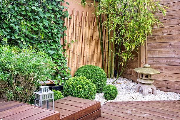 istock Japanese garden with bamboos and stone lantern 503915375