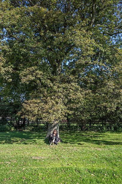 istock Mature smiling hispanic woman sitting under large leafy tree 503915470
