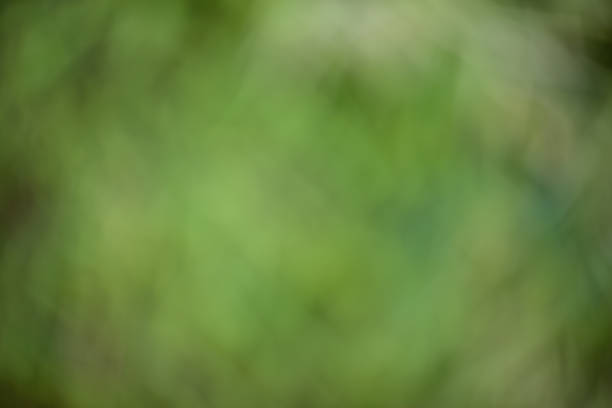 istock green toned abstract background 503915684