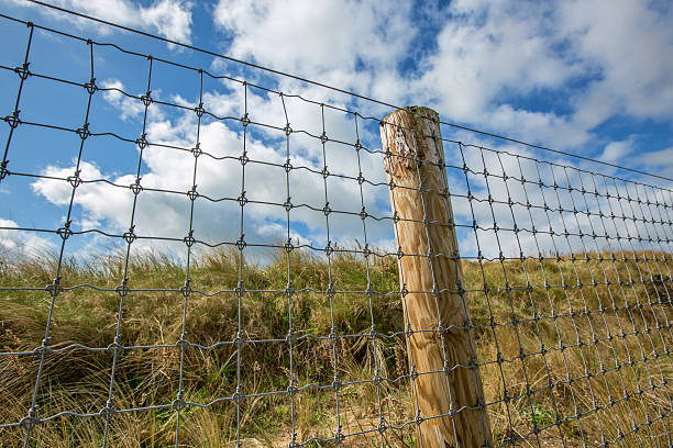 Mesh fence at the dunes