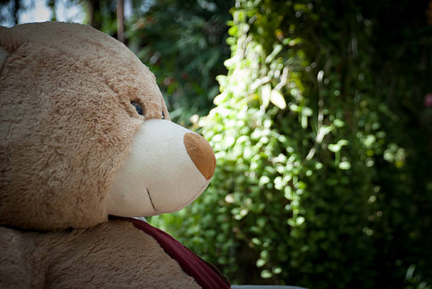 istock Lonely Teddy bear looking for someone , vintage style 503915924