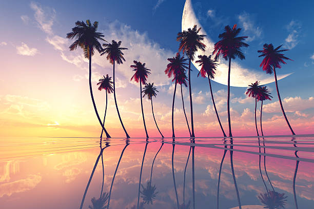 istock sunset at tropical sea 503916031