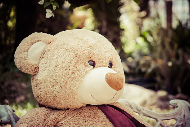 istock Lonely Teddy bear looking for someone , vintage style 503916056
