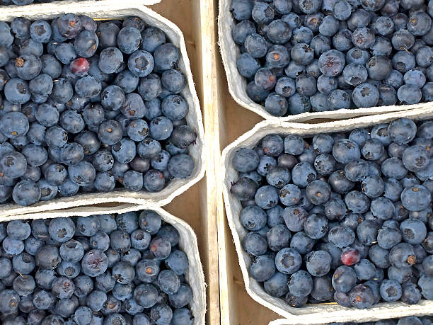 istock blueberries at a street sale 503916107