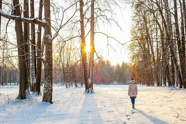 istock People standing in a winter forest 503918000