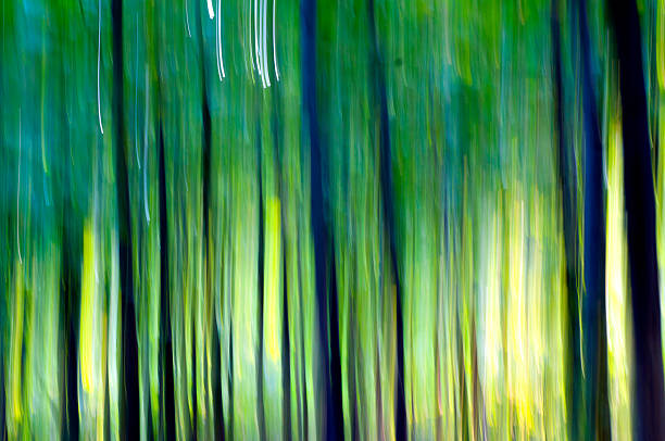 istock Abstract Silhouette of Green Forest with Blurred Motion 503918155