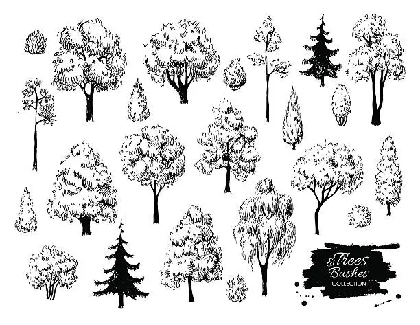 Vector illustration of Big set of hand drawn tree sketches.