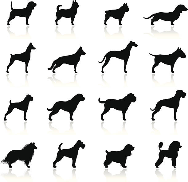 Dogs Icon Set High Resolution JPG,CS6 AI and Illustrator EPS 10 included. Each element is named,grouped and layered separately. Very easy to edit.  mastiff stock illustrations