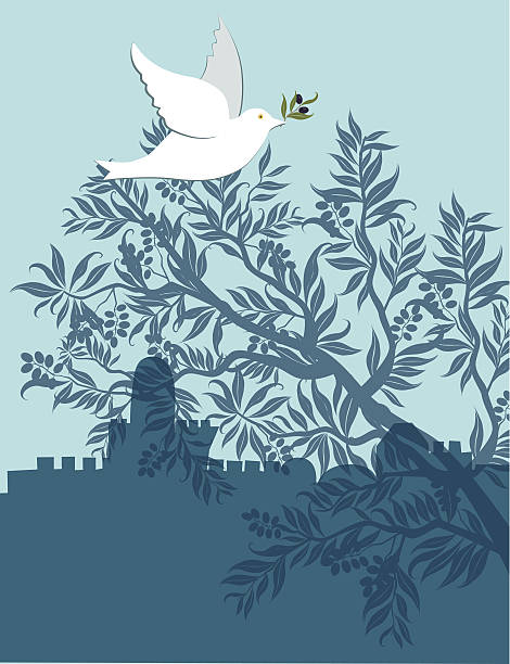 dove mit olive branch fliegt über jerusalem - passover judaism seder olive stock-grafiken, -clipart, -cartoons und -symbole