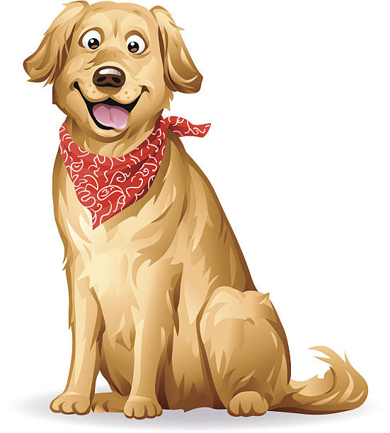 Golden Retriever A cute Golden Retriever with a red neckerchief sitting in front of white background. EPS 8. dog clipart stock illustrations