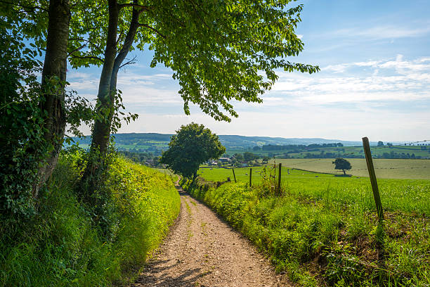 istock Road through a rural landscape in summer 503920641