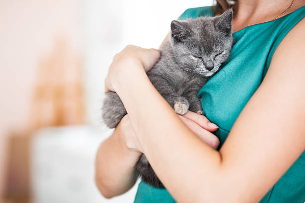 istock young woman with cat 503920689