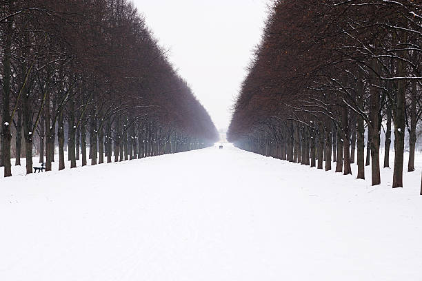 Tracks in the snow in the winter landscape
