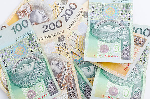 istock polish zloty 503921414