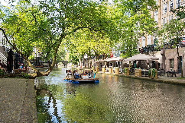 canal em utrecht, holanda - balsa tree imagens e fotografias de stock