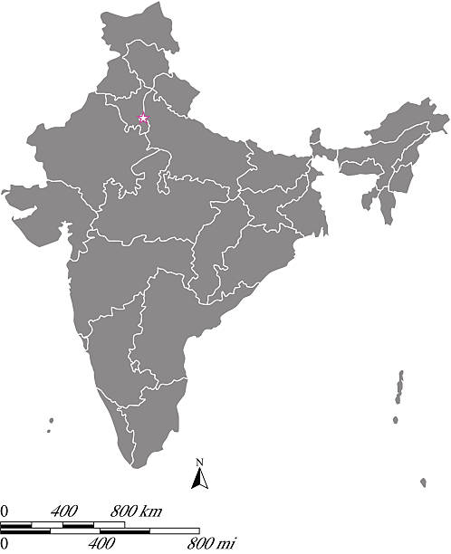 India map outline vector with scales of miles and kilometers India map vector outline with capital location and borders of provinces or states and scales of miles and kilometers. assam stock illustrations