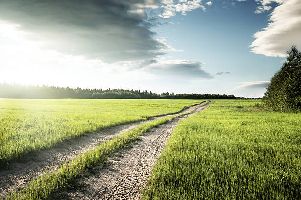istock ground road and field of spring grass 503926588