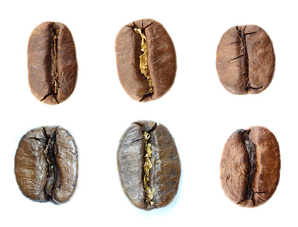 coffee beans