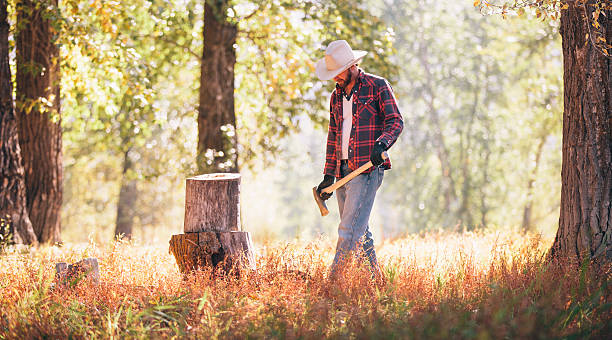Rugged man carrying axe in the woods on a beautiful sunny day walks toward tree log to chop wood