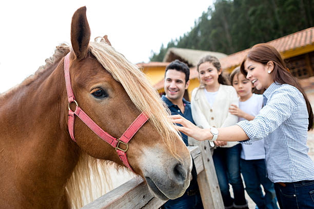 famiglia con un cavallo - petting zoo foto e immagini stock