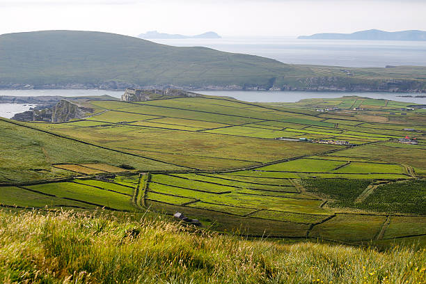istock Beautiful landscape in Ireland 503944527