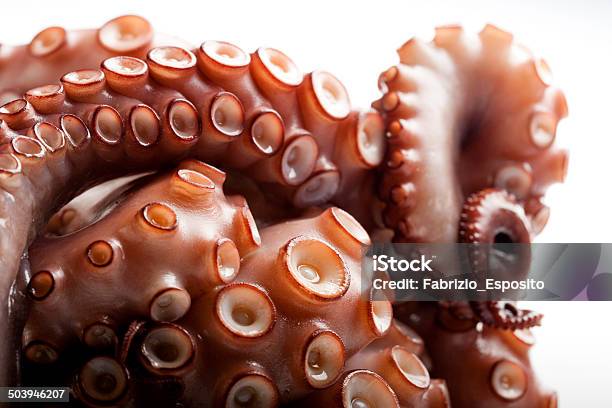 Pulpo Sobre Fondo Blanco Foto de stock y más banco de imágenes de Gráfico por ordenador - Gráfico por ordenador, Pulpo, Alimento