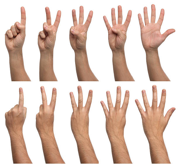 Set of counting hands isolated on white background Set of counting hands isolated on white background number 1 2 3 stock pictures, royalty-free photos & images