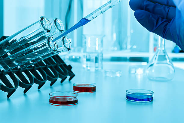 Pipette adding fluid to one of several test tubes .medical stock photo