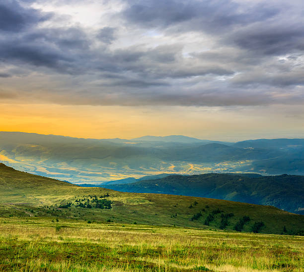 istock wild plants on the mountain top at sunrise 503948931