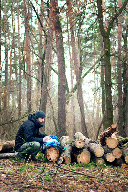 istock Tourist in the forest with a backpack 503949834