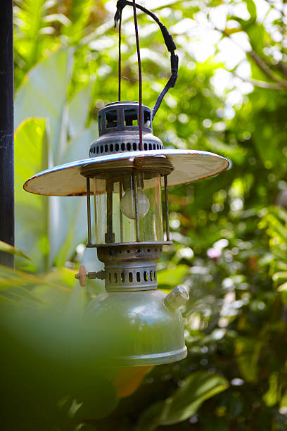 istock Lamp in green garden 503950386