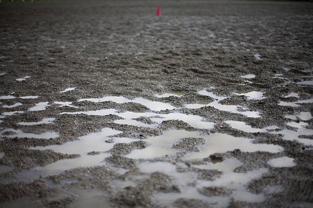 istock Dirty ground. Horse riding space. 503950818