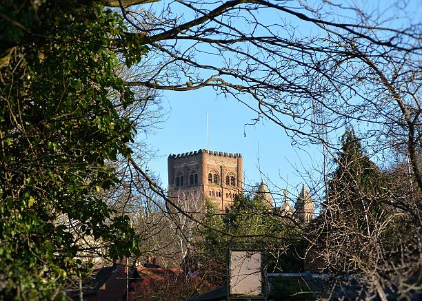 istock Saint Albans Cathedral / Abbey 503951570