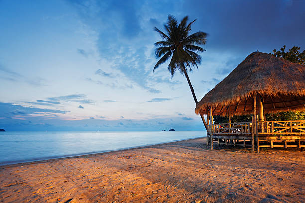 istock bungalows on a tropical beach 503952420