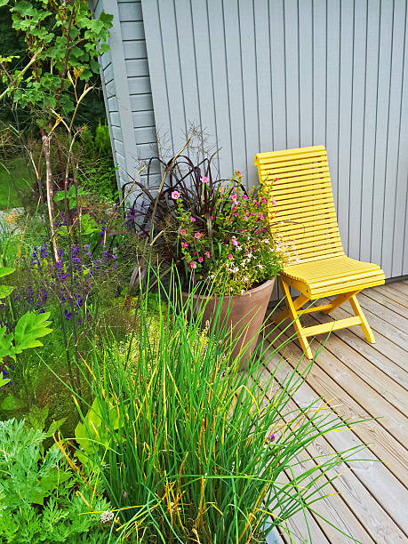 istock Summer patio decorated with flowers 503954688