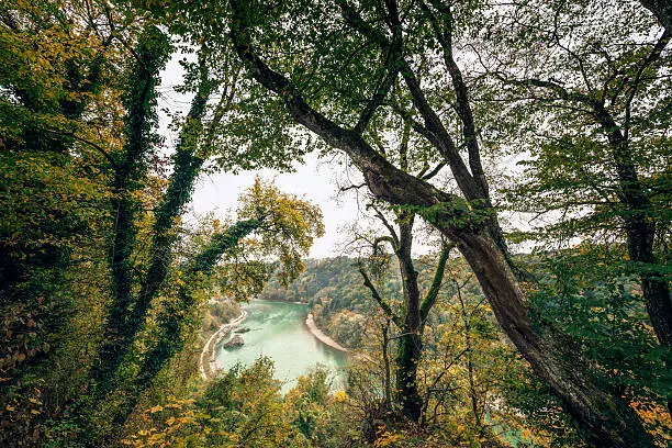 Salzach River in Burghausen, Bavaria (Germany). Autumn forest and cliffs with trees