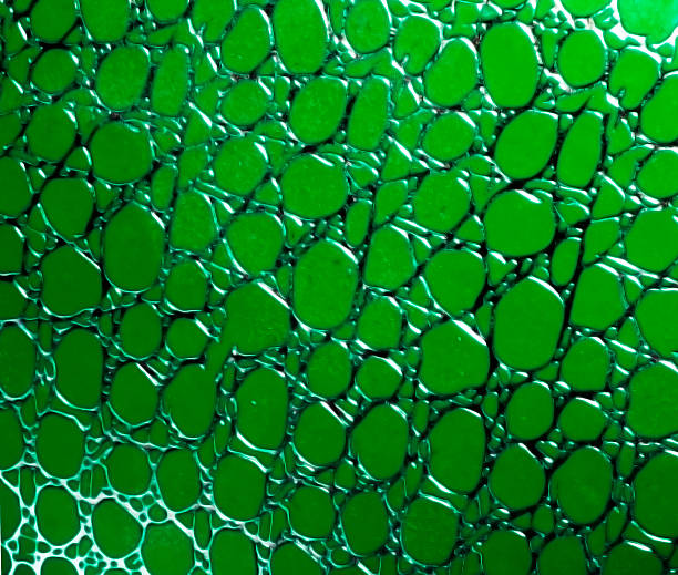 istock Green relief texture with circular patterns and veined 503960034