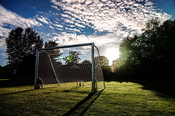 istock Soccer goal, lifegoal 503961584