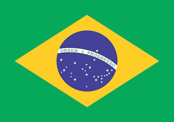 표준 비율 브라질 플래깅 - pelé stock illustrations