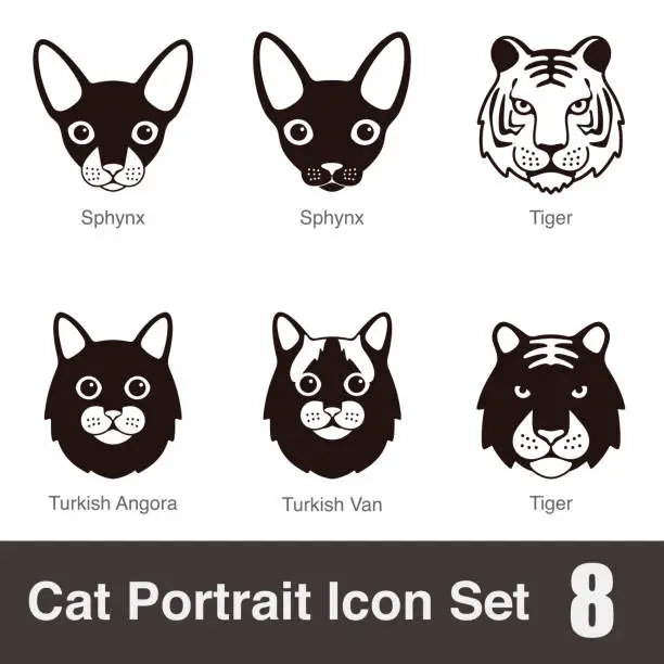 Vector illustration of Cat breed face cartoon flat icon series
