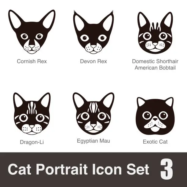 Vector illustration of Cat breed face cartoon flat icon series