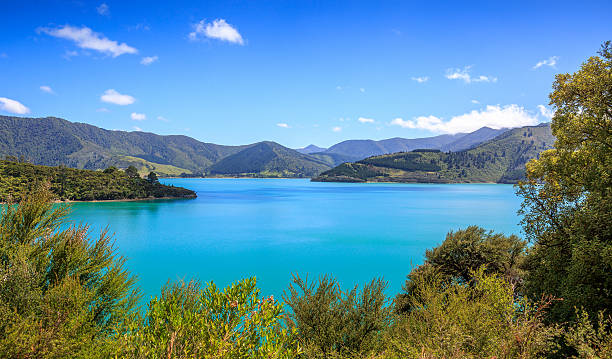 Queens Charlotte Sound Queens Charlotte Sound mountains and blue sea picton new zealand stock pictures, royalty-free photos & images