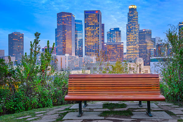 istock Tranquil Los Angeles with Park Bench 503977260