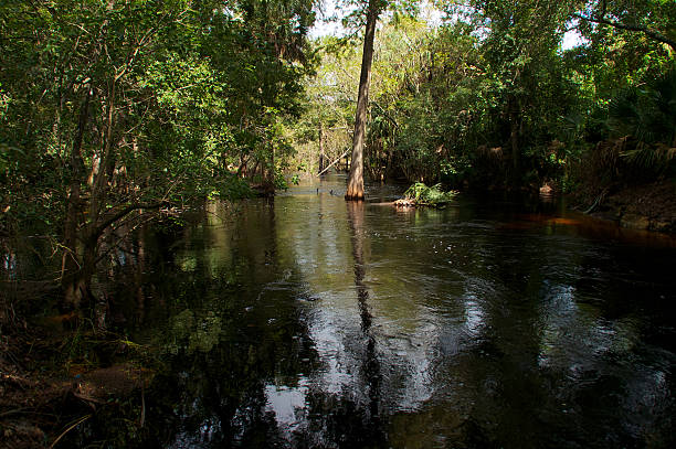 istock mouth of the Imperial RIver 503979458