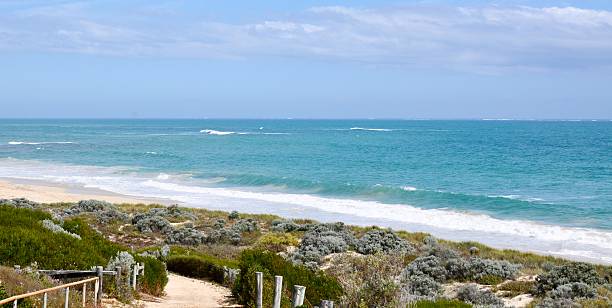 istock Turquoise Indian Ocean with Path in the Dunes 503980580