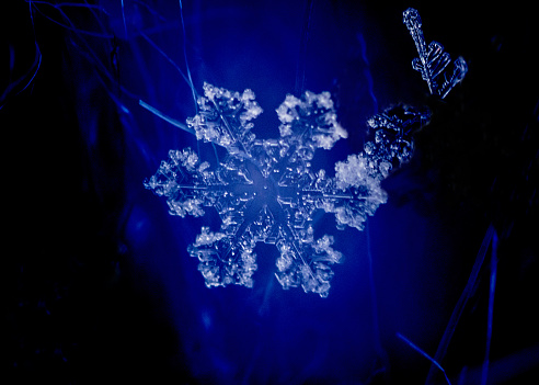 A macro image of a snowflake captured during a snow storm in Colorado.