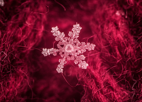 A snowflake in Colorado during a storm captured on a red background.