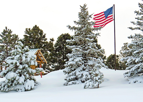 An American Flag waves at the end of a snowstorm surrounded by snowy pines in Colorado.