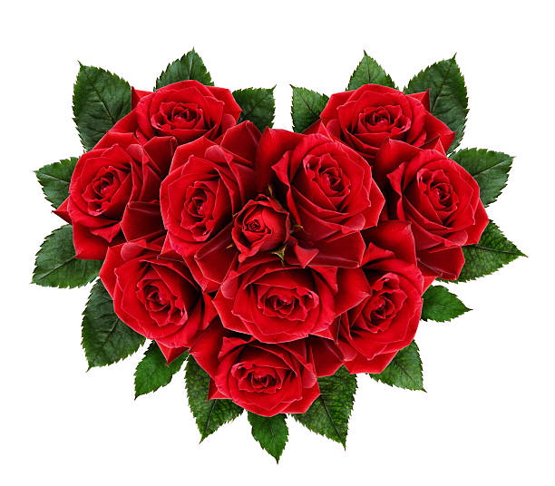 istock Red rose flowers heart 503983768